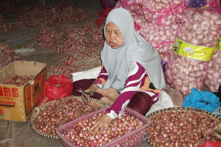 HARGA BAWANG MERAH STABIL
