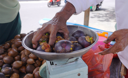 TIMBANG BUAH MANGGIS