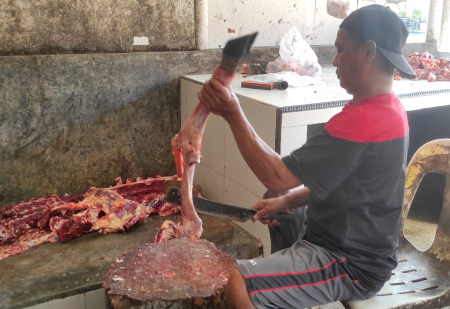 TULANG KAKI SAPI