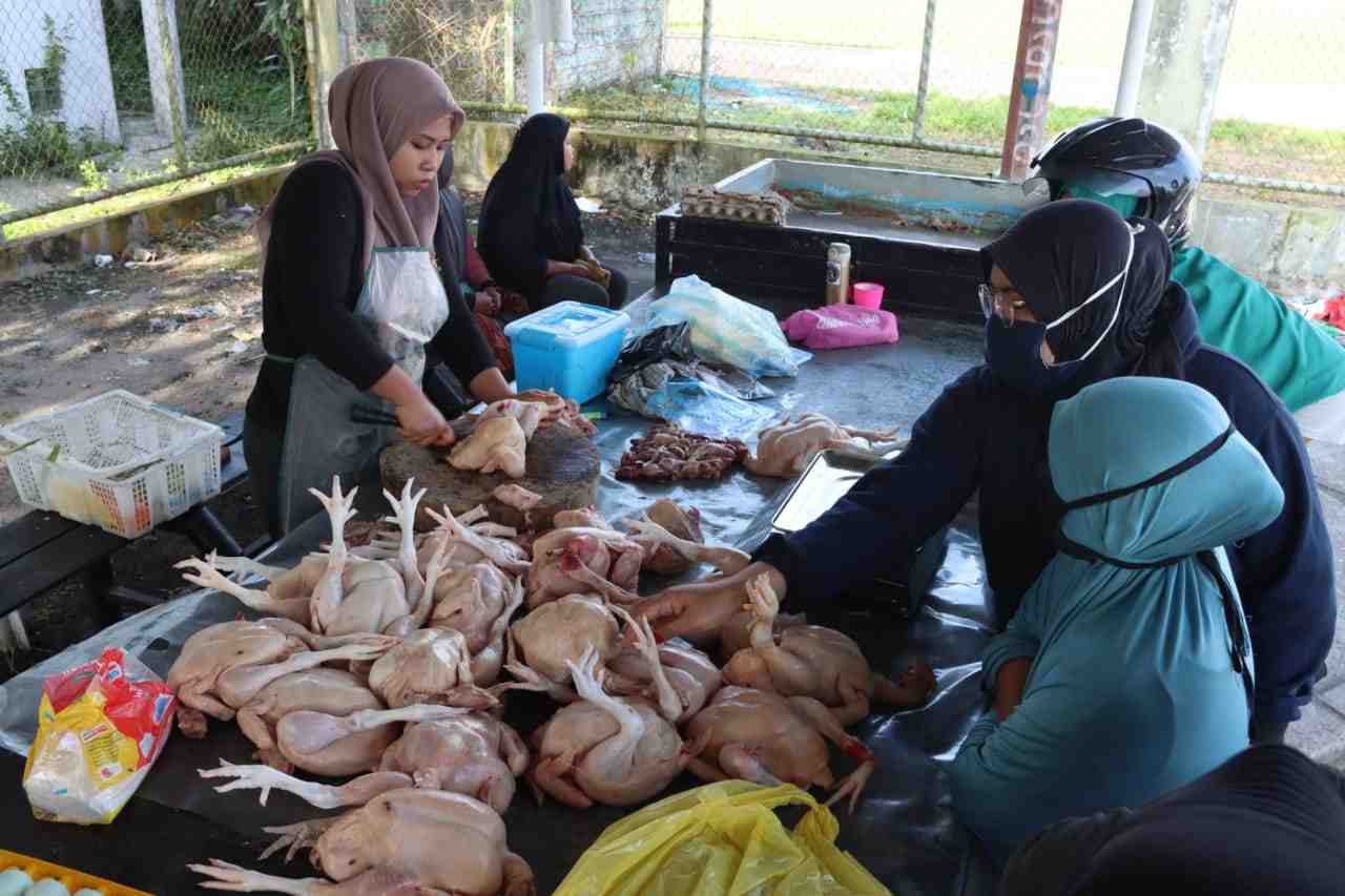 PENJUAL AYAM RAS