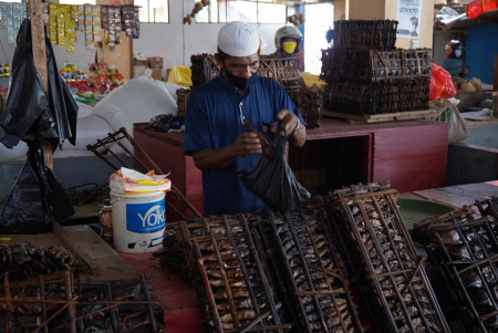 PENJUAL IKAN GALAFEA