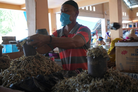 HARGA IKAN TERI NAIK
