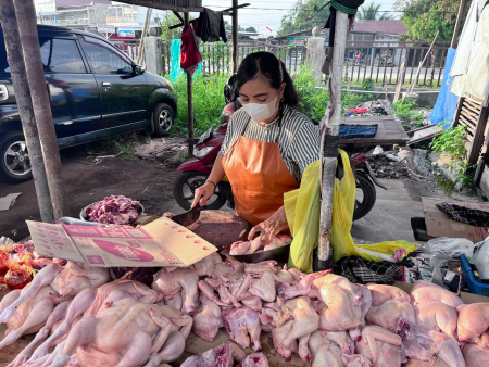 HARGA AYAM DI PALANGKA RAYA STABIL