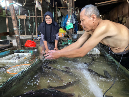 PENJUAL IKAN 