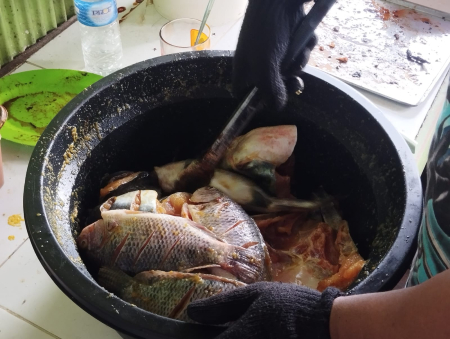 MARINASI IKAN
