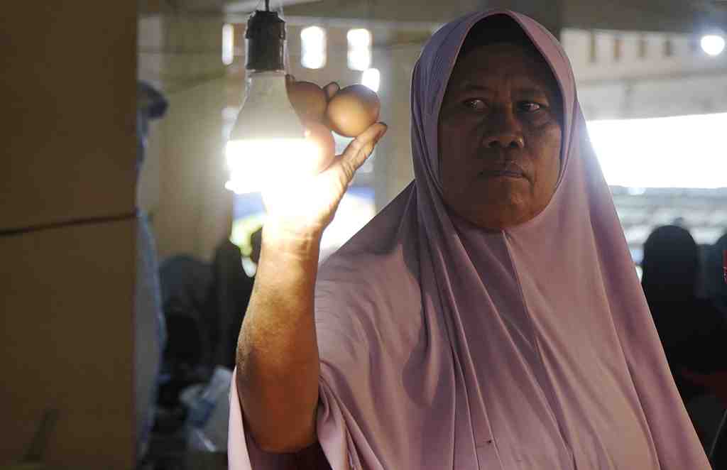 HARGA TELUR AYAM di TIDORE TURUN