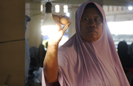 HARGA TELUR AYAM di TIDORE TURUN