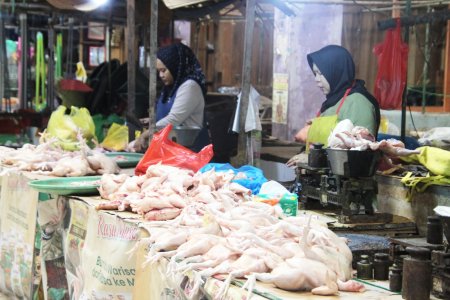 HARGA AYAM POTONG