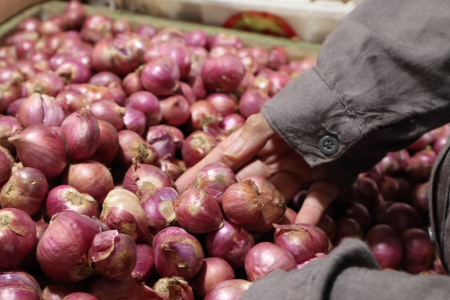 HARGA BAWANG MERAH STABIL