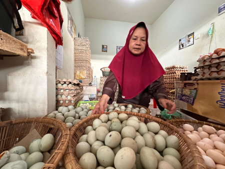 RAPIKAN KERANJANG TELUR