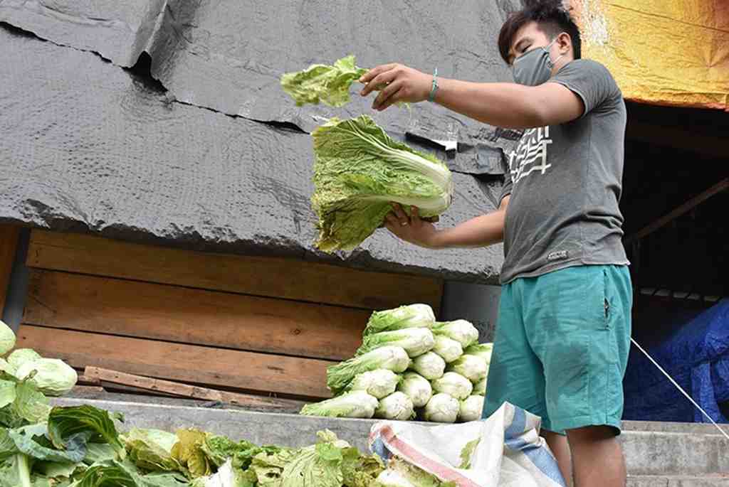 PEDAGANG SAYUR SAWI