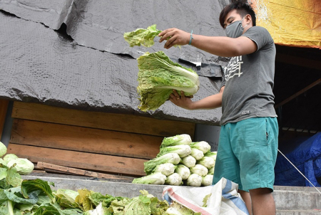 PEDAGANG SAYUR SAWI