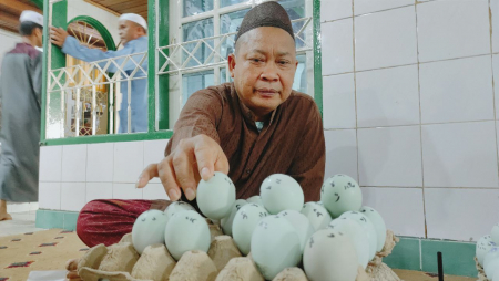 JUAL TELUR REBUS