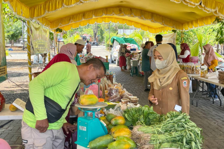 TIMBANG BUAH PEPAYA