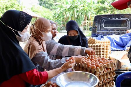 PILIH TELUR
