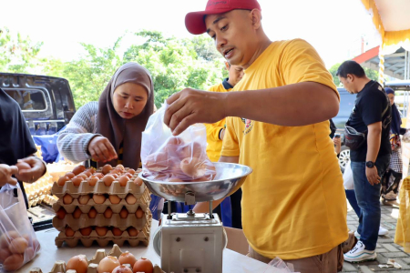 TIMBANG TELUR