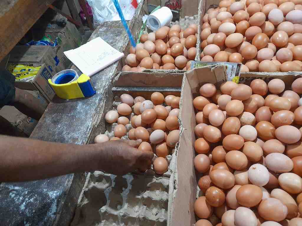 HARGA TELUR AYAM NAIK 