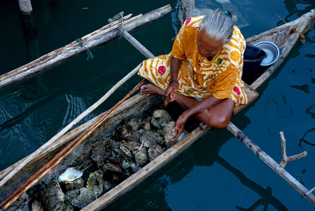 KERANG KONSUMSI SUKU BAJO