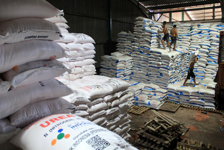 STOK PUPUK BERSUBSIDI DI SUMUT