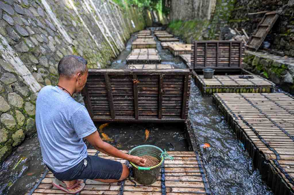 PEMANFAATAN SUNGAI UNTUK BUDI DAYA IKAN
