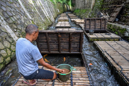 PEMANFAATAN SUNGAI UNTUK BUDI DAYA IKAN