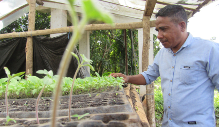 PEMBIBITAN TANAMAN HORTIKULTURA					