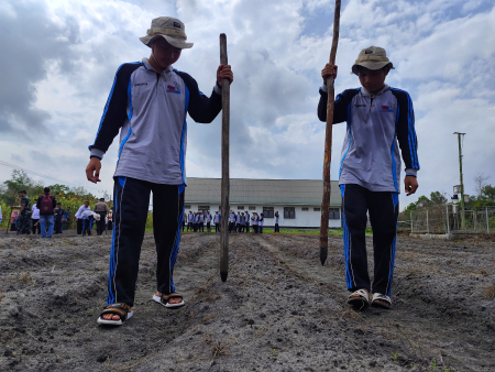 SIAPKAN LUBANG TANAM BENIH SORGUM