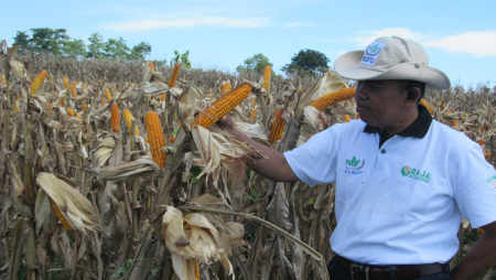 PERIKSA KONDISI JAGUNG R7