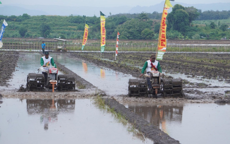 BALAP TRAKTOR DI BATANG
