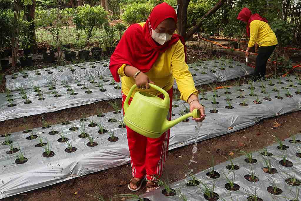 KAMPUNG PROKLIM KEBON KOSONG