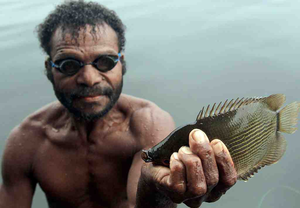 MENANGKAP IKAN DENGAN ALAT TRADISIONAL DI DANAU SENTANI