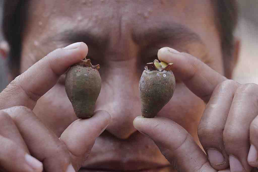 UPAYA PENINGKATAN EKONOMI MASYARAKAT PESISIR DI ROTE NDAO