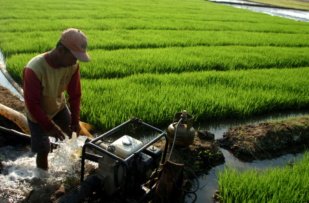 POMPA AIR ELPIJI UNTUK MENGAIRI SAWAH