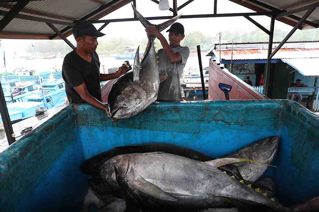 POTENSI PENGEMBANGAN BUDIDAYA TUNA