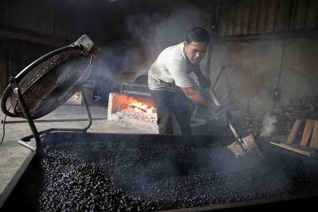 PENGOLAHAN KOPI ROBUSTA SECARA TRADISIONAL
