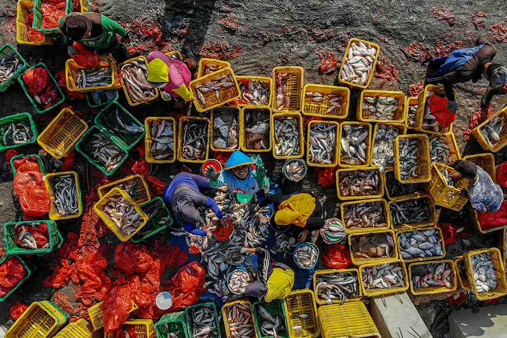 HASIL TANGKAPAN NELAYAN DI TUBAN MENINGKAT