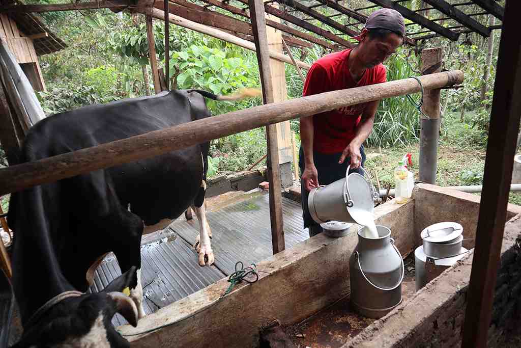 KEBUTUHAN SUSU SEGAR JAWA TIMUR