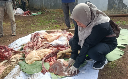 SIDAK PENYEMBELIHAN HEWAN KURBAN
