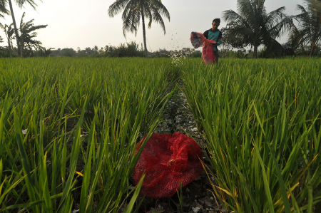 REKAYASA KELEMBAPAN TANAH PERTANIAN