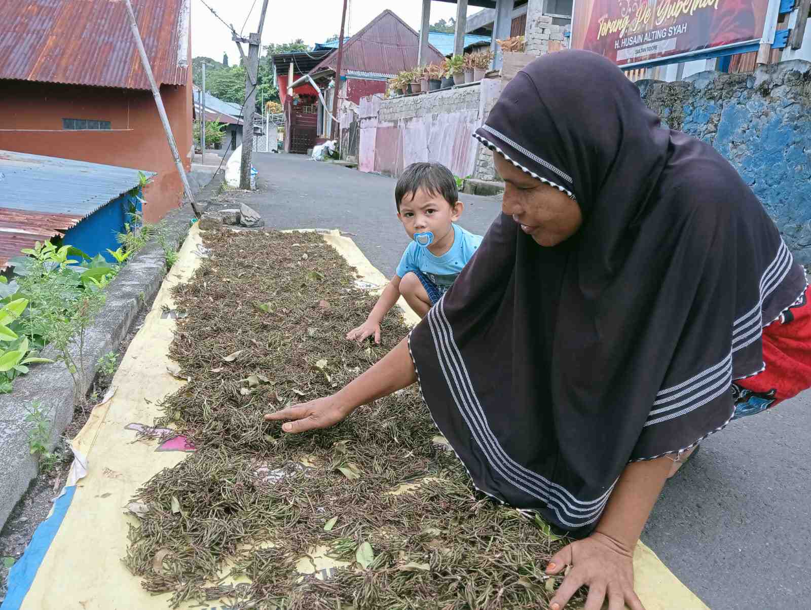 JEMUR GAGANG CENGKEH