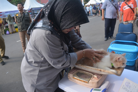 MENIMBANG HEWAN PELIHARAAN