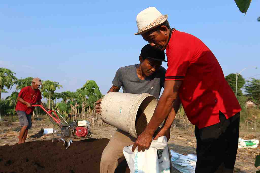 PRODUKSI PUPUK ORGANIK