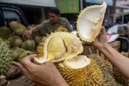 PELUANG EKSPOR BUAH DURIAN MONTONG