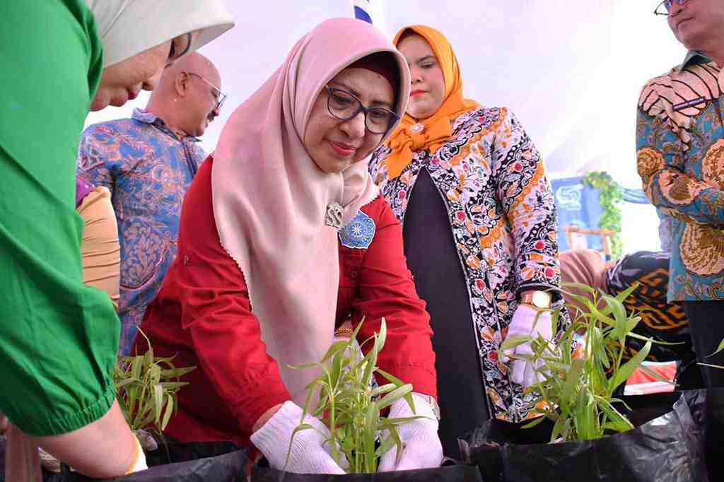 GERAKAN MENANAM KANGKUNG 