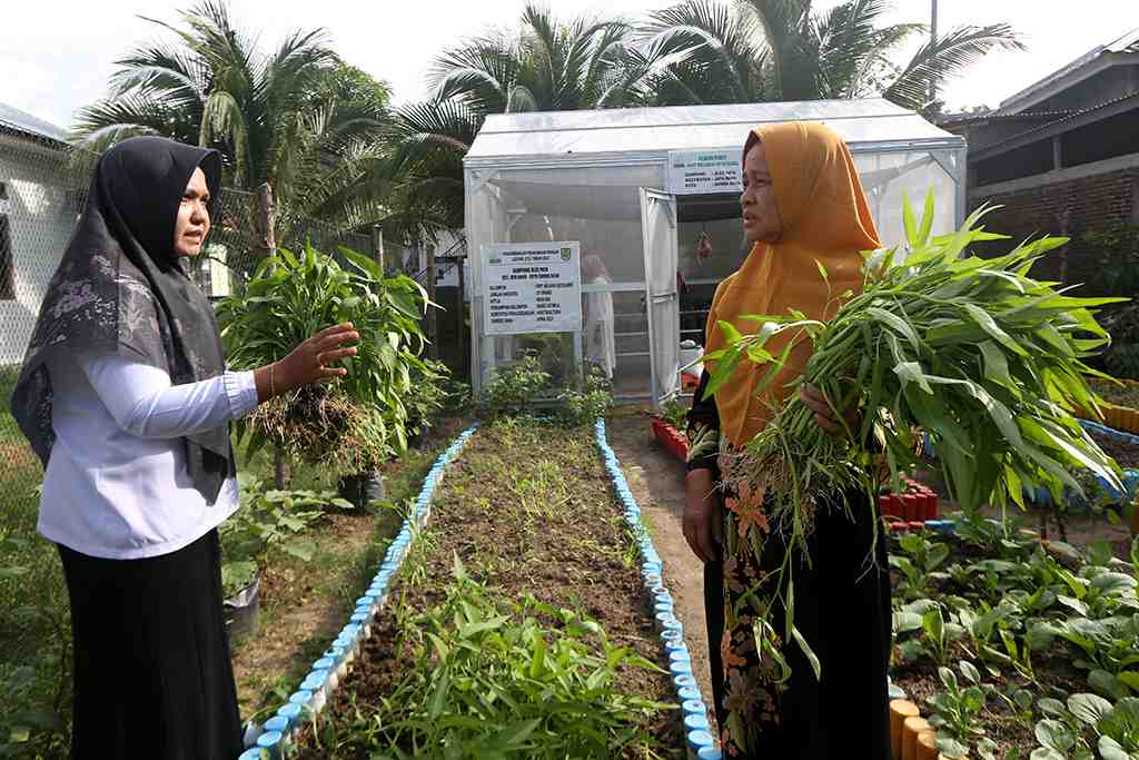REALISASI PEKARANGAN PANGAN LESTARI ACEH