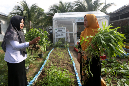REALISASI PEKARANGAN PANGAN LESTARI ACEH