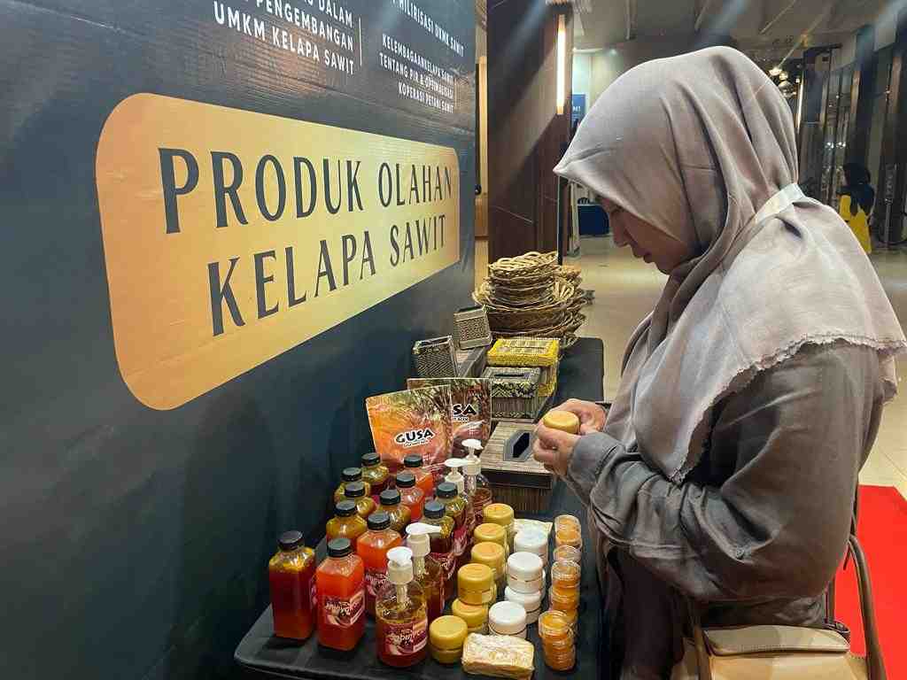 LIP BALM DARI KELAPA SAWIT