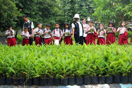 SISWA SD MENGENAL TANAMAN HORTIKULTURA