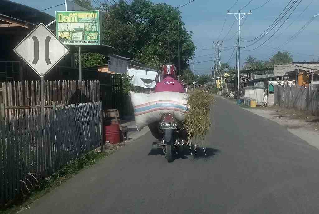 ANGKUT JERAMI PADI