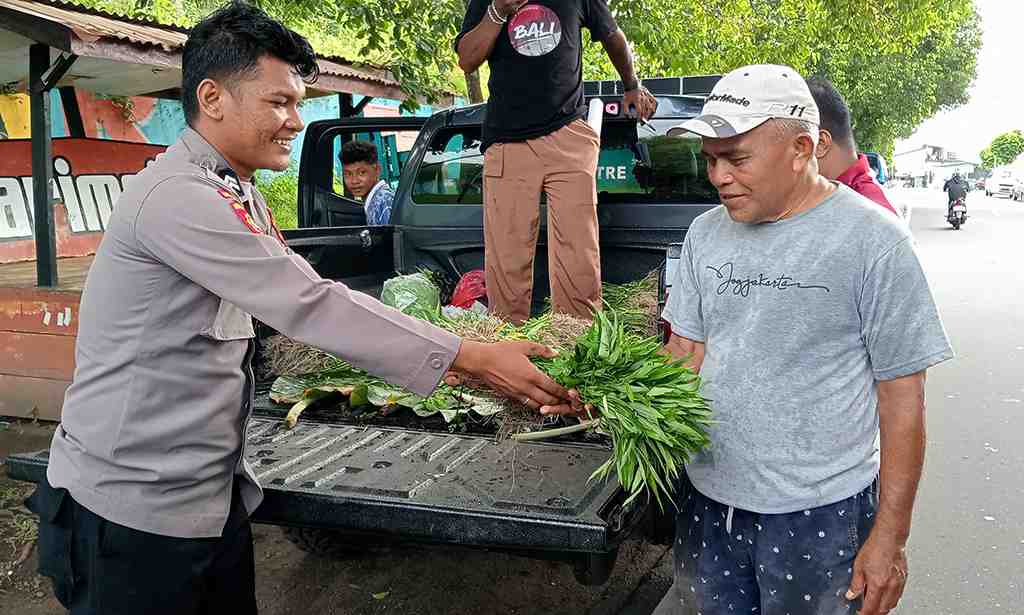 BAGI HASIL PANEN GRATIS